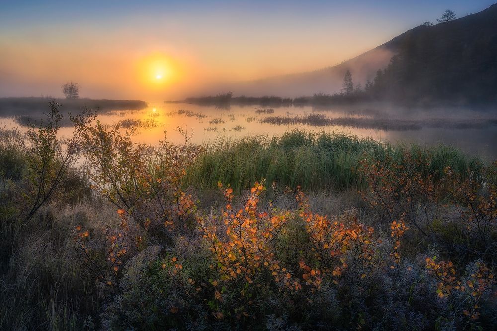 Photograph by Сергей Межин