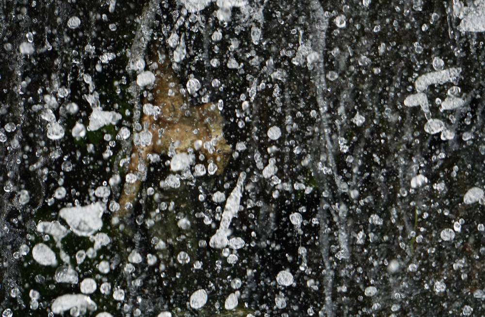 Photograph by Prabhu Viswanathan