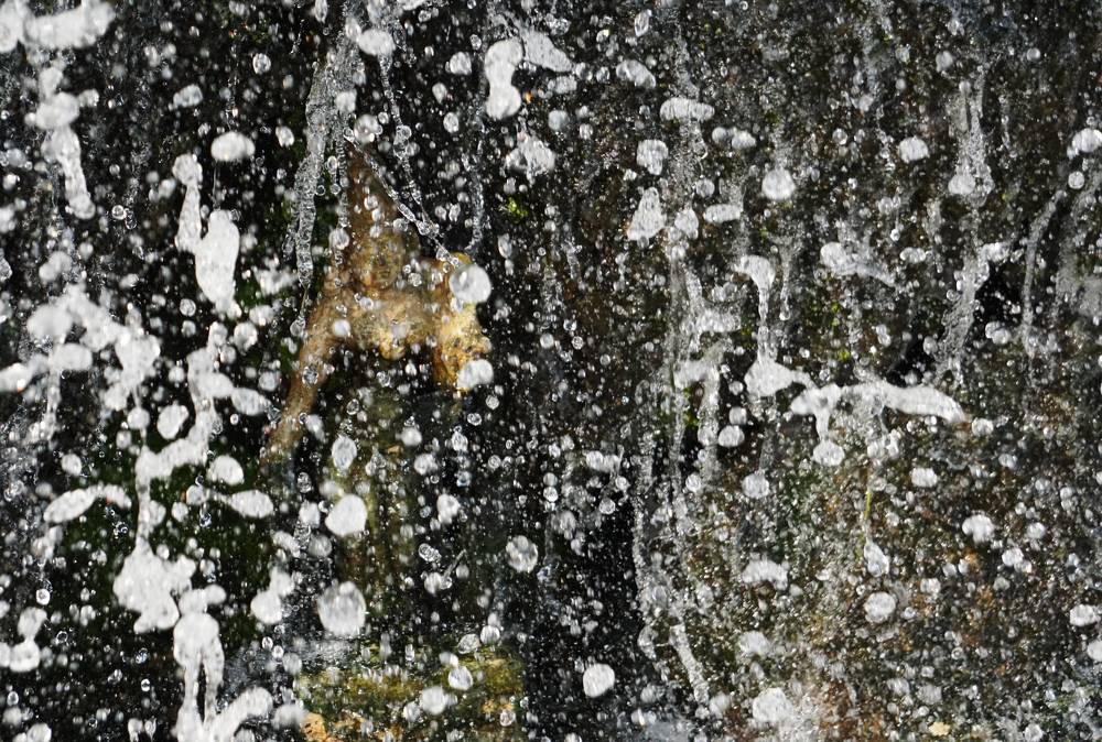 Photograph by Prabhu Viswanathan