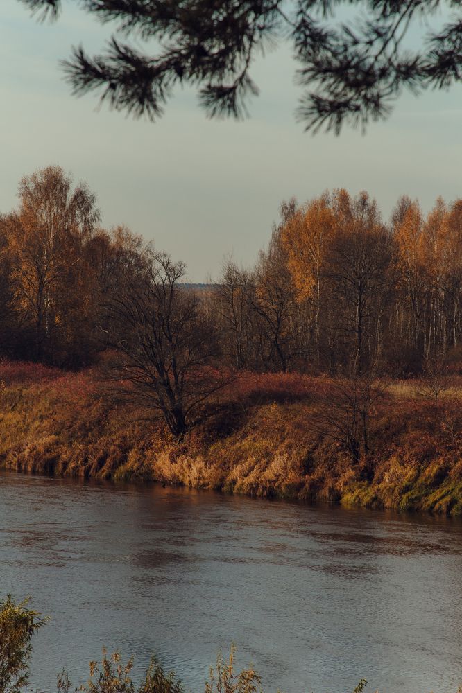 Photograph by Ангелина Карелина