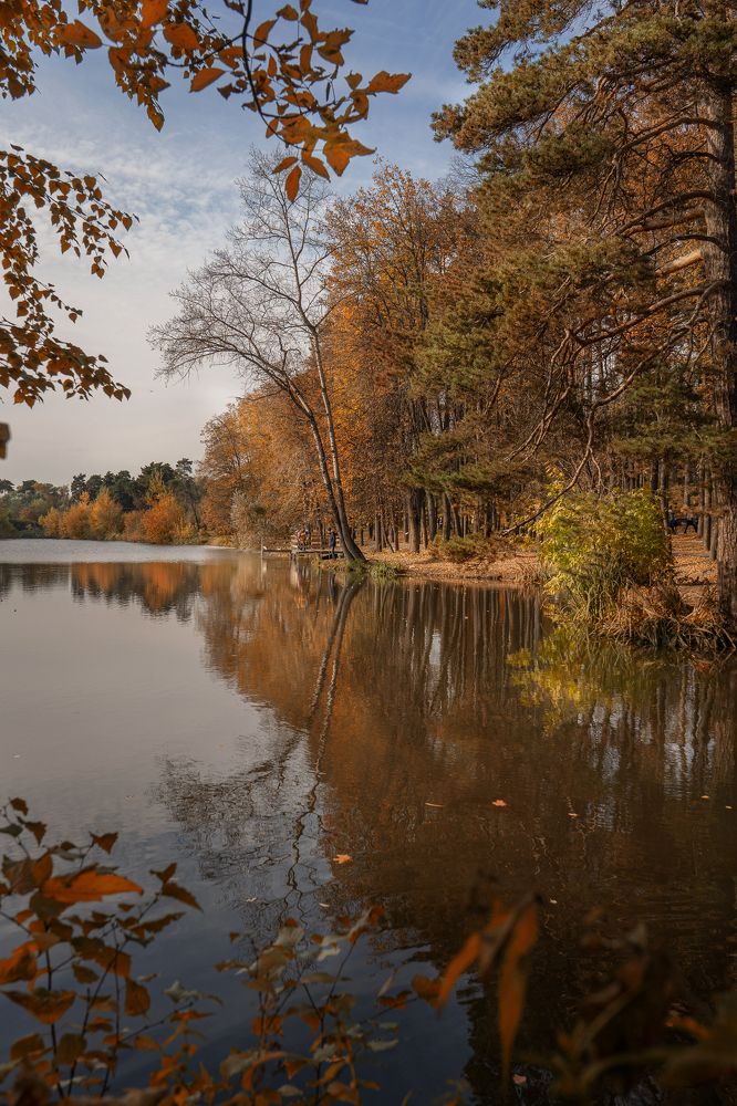 Photograph by Екатерина Чичкова
