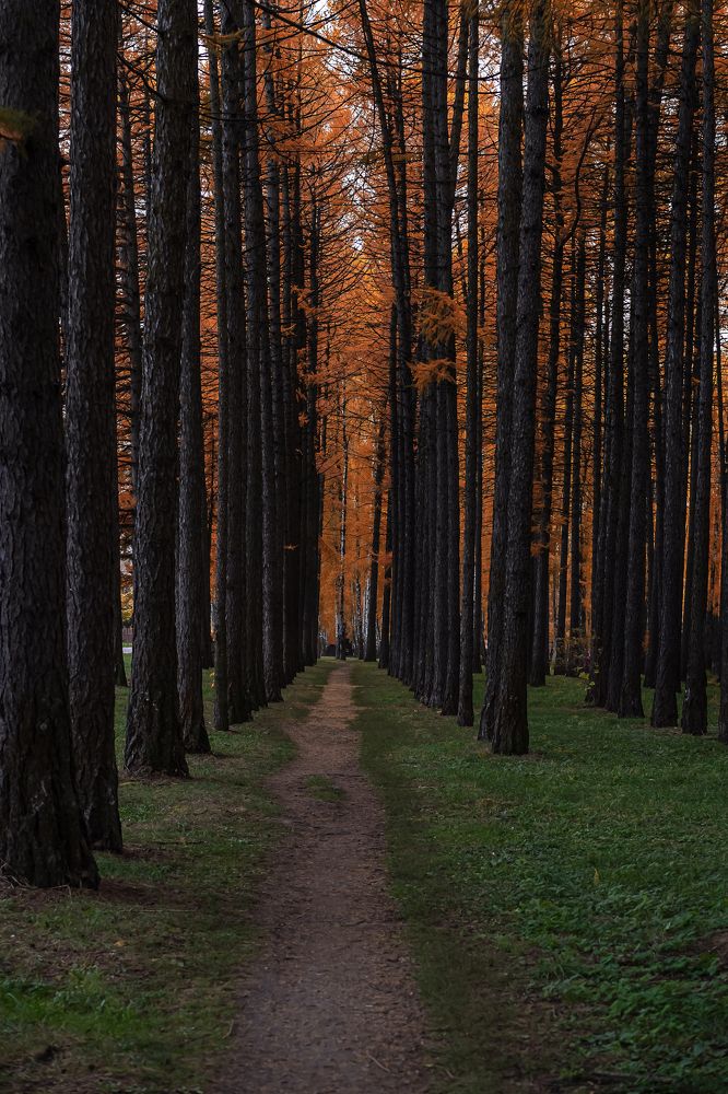 Photograph by Мария Каськова