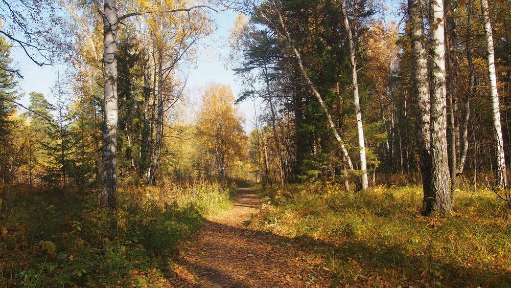 Photograph by Софья