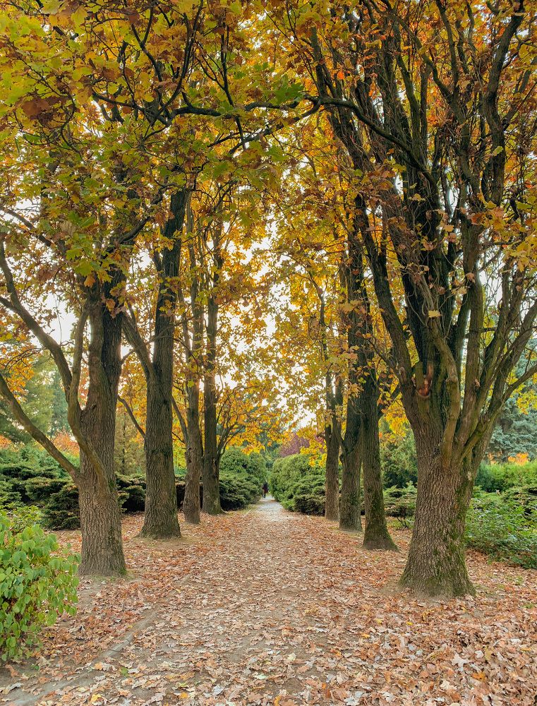 Photograph by Анна Айбетова