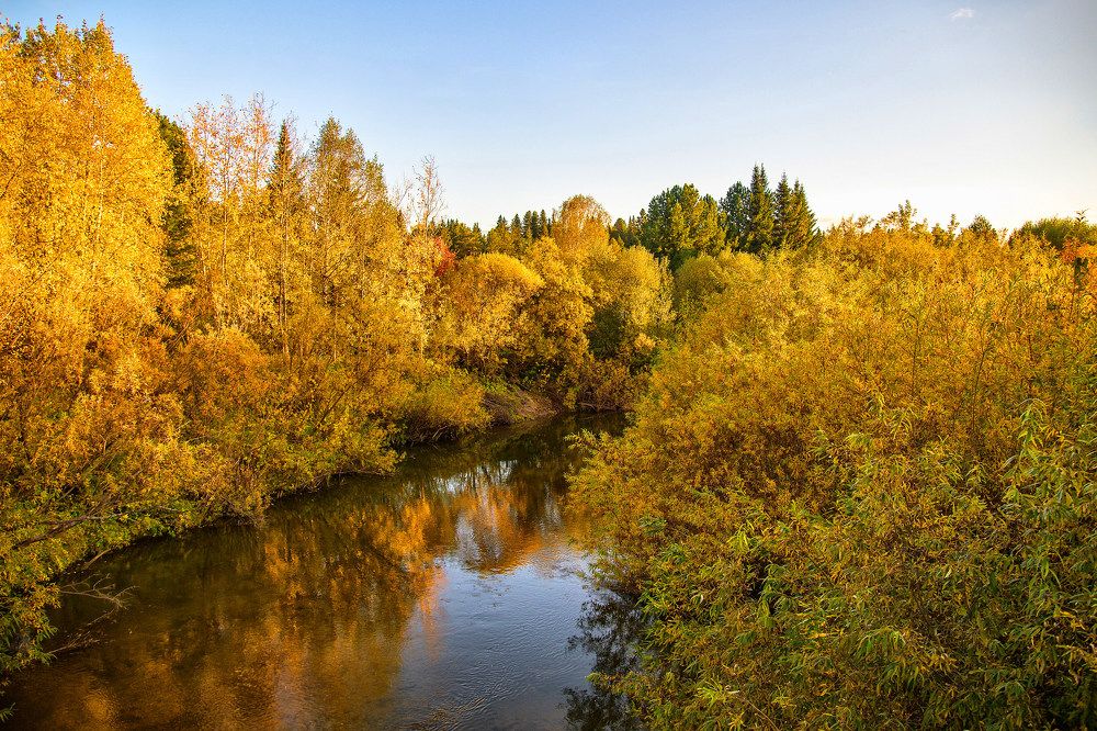 Photograph by Галина Патрушева