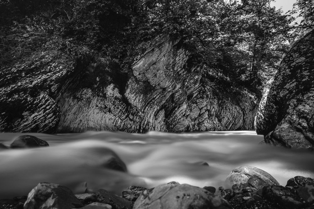 Фотография автора Светлана Фроленко