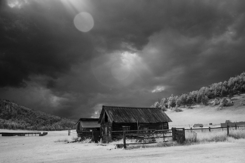 Фотография автора Светлана Фроленко