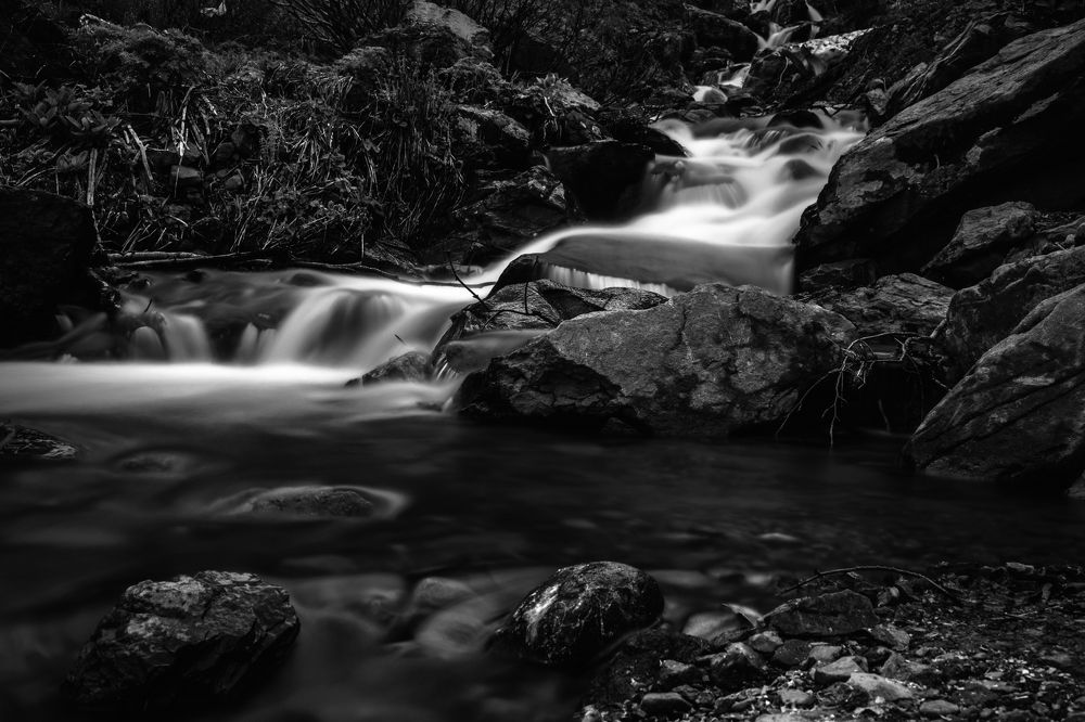 Фотография автора Светлана Фроленко