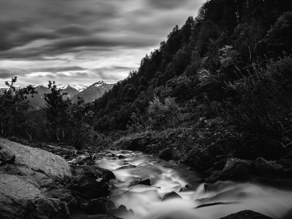 Фотография автора Светлана Фроленко