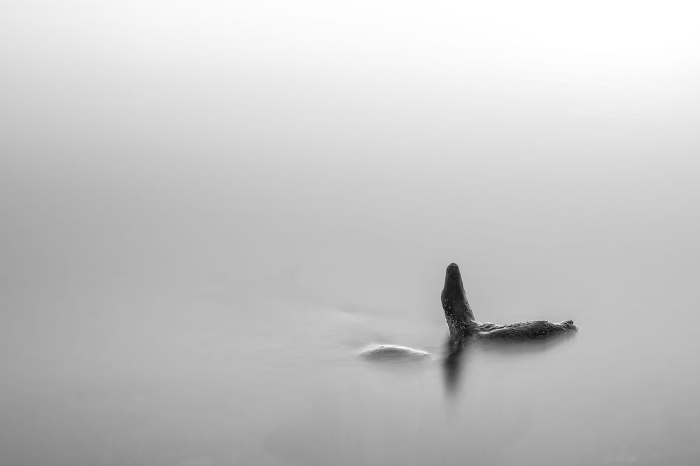 Фотография автора Светлана Фроленко