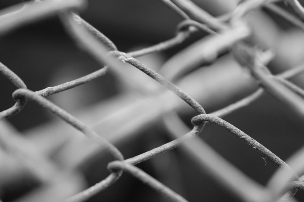 Photograph by Софья