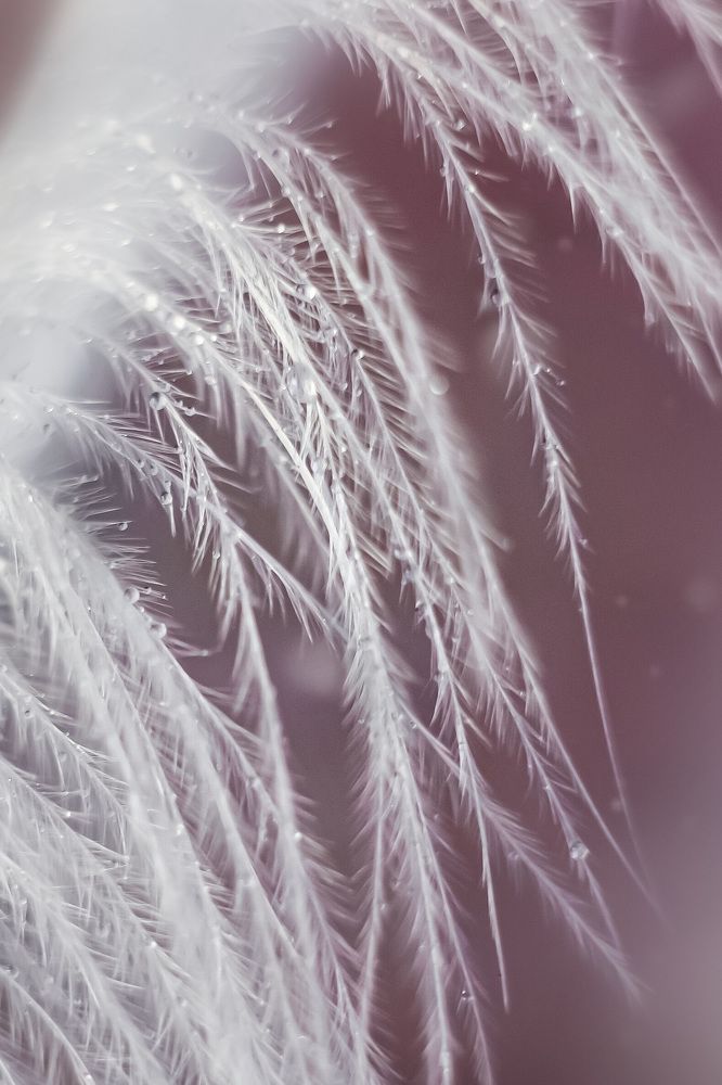 Photograph by Алена Царицына