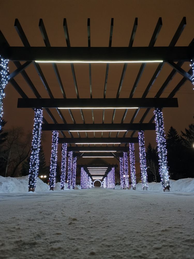 Photograph by Александр Полозов