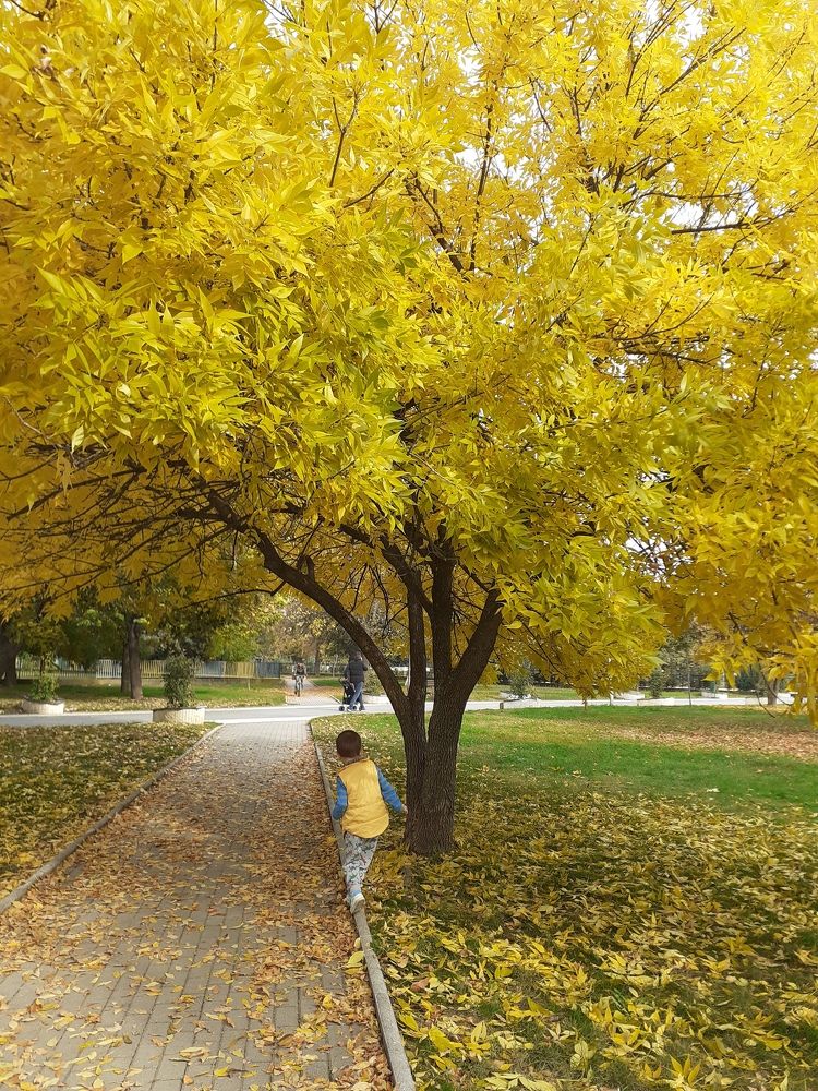 Photo #6637398