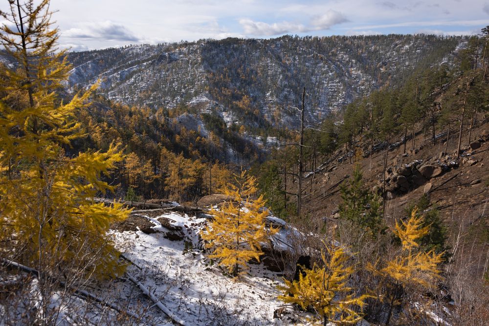 Photograph by Елена Вторушина