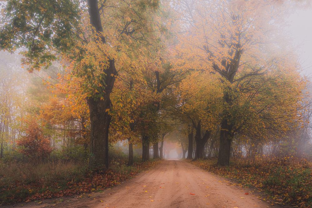 Photograph by Dariusz Budyta