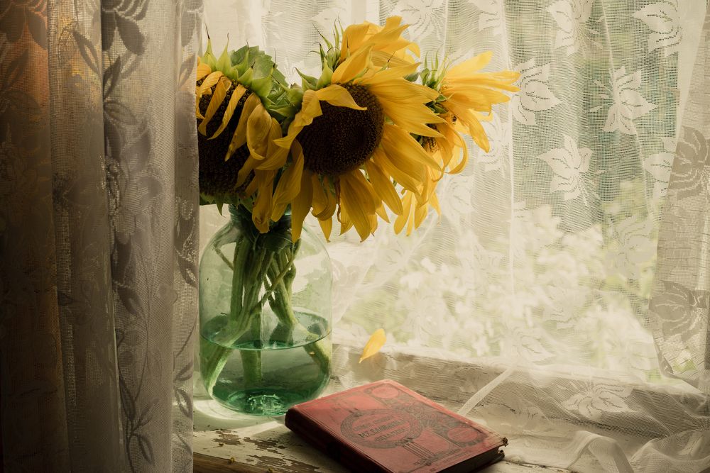 Photograph by Марина Колпакова