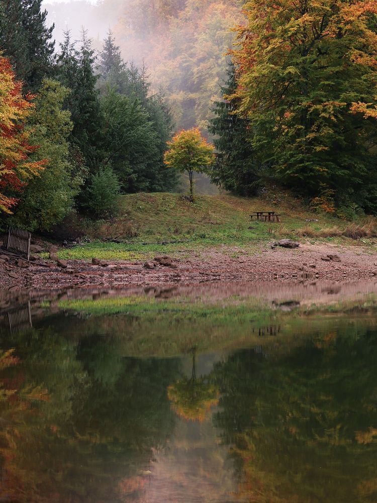 Фотография автора Flegner Calin