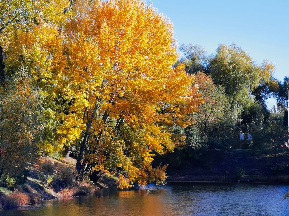 Киев. Октябрь 2021