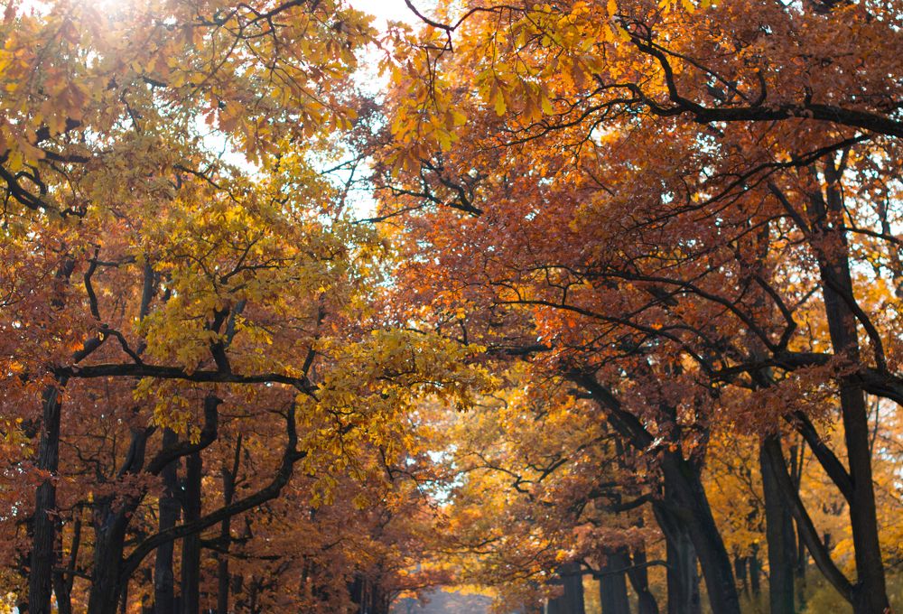 Photograph by Цывкунова Полина