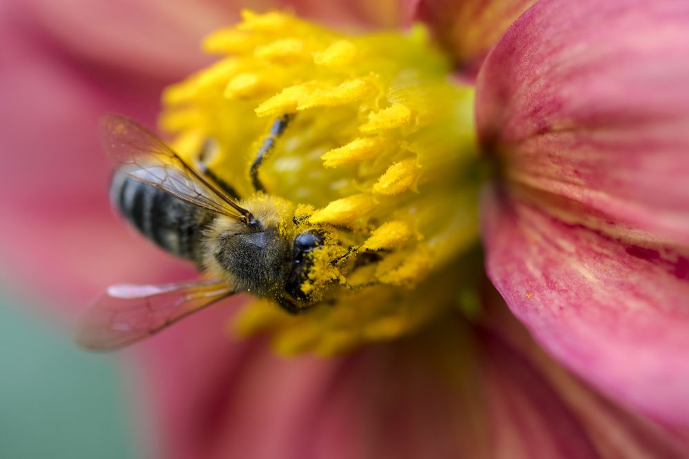 Photograph by Олесь