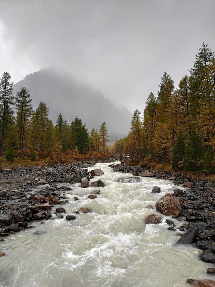 Photograph by Максим Савватеев