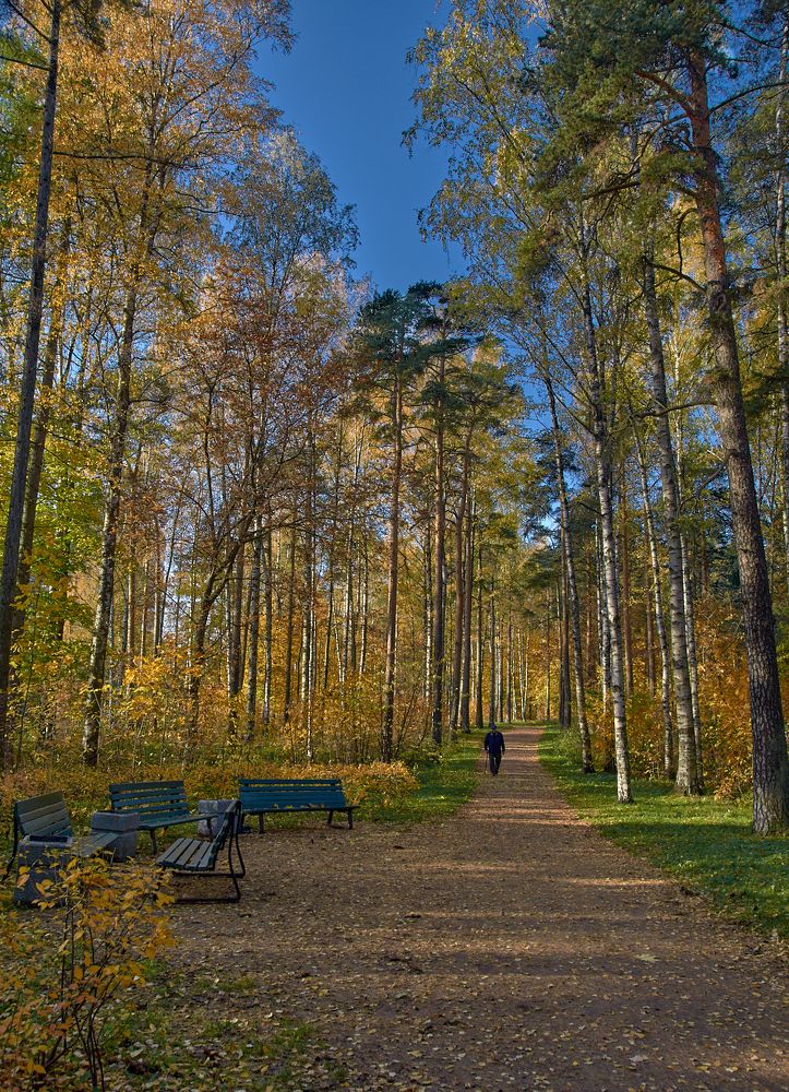 Photograph by Наталья Малышева