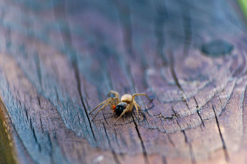 Photograph by Pavel Morozov