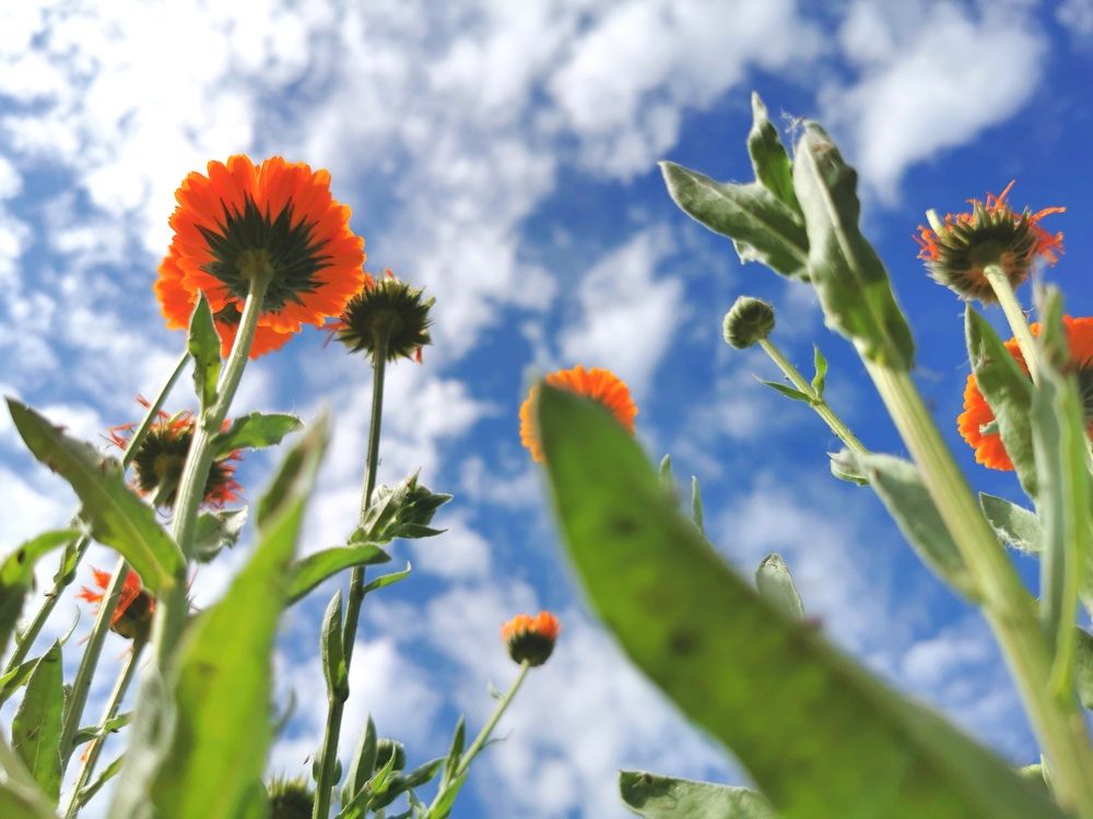 Photograph by Константин Илюшников