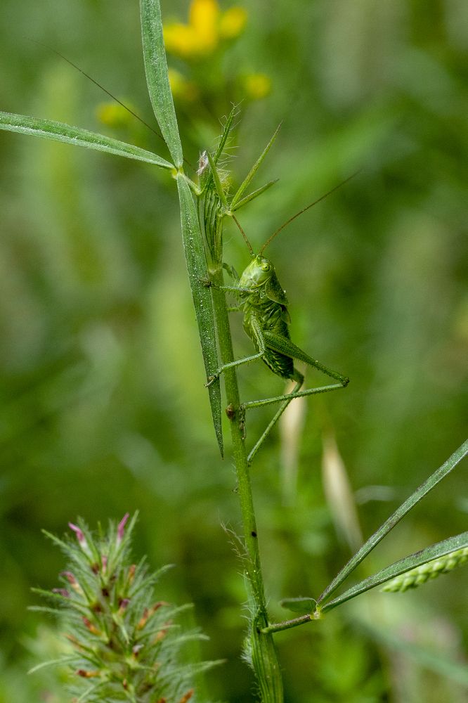 Photograph by Nuket Uluc