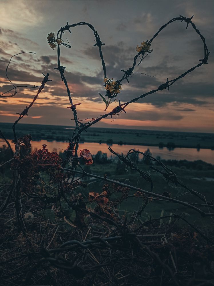 Фотография автора Ольга Савочкина