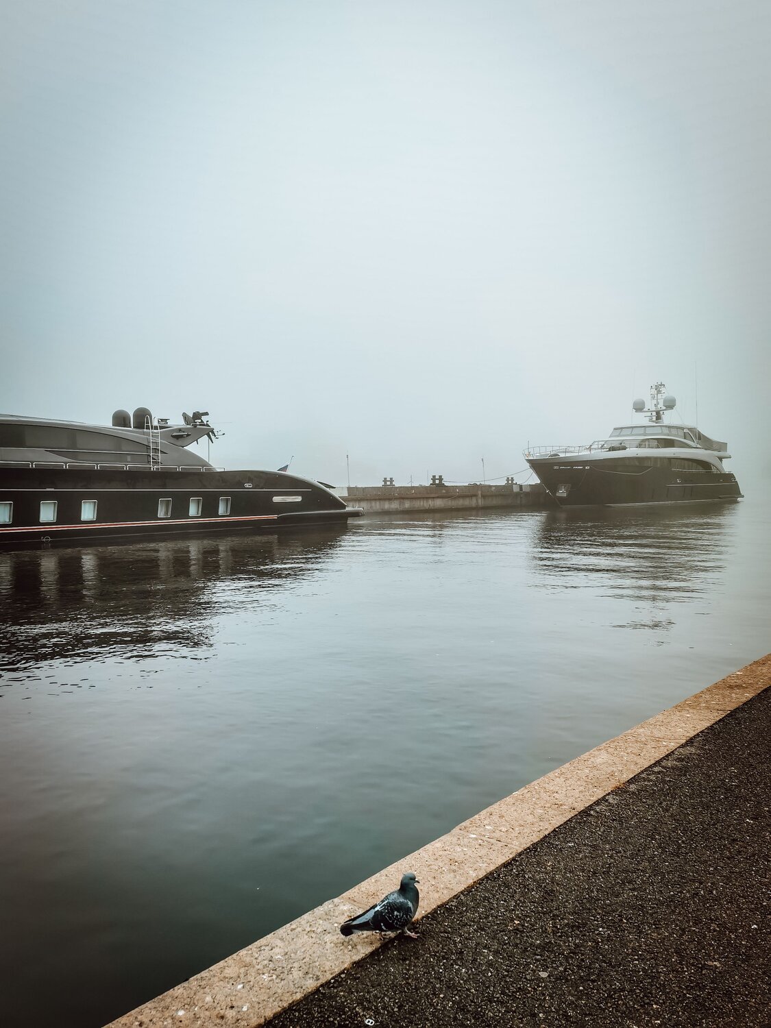 Photo #6637614