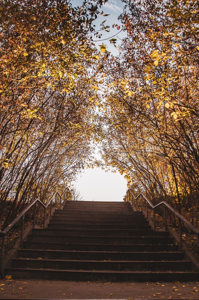 Photograph by Фёдор Викторов