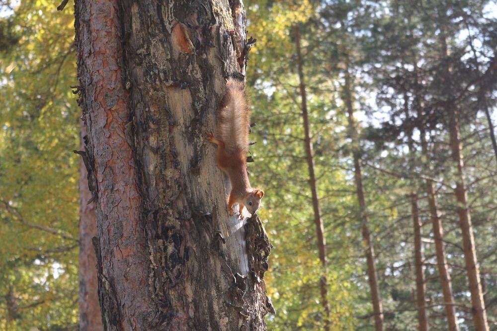 Photograph by Софья