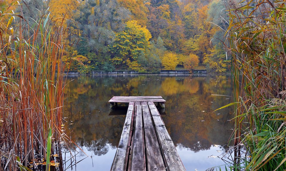 Photograph by Ирина Литичевская