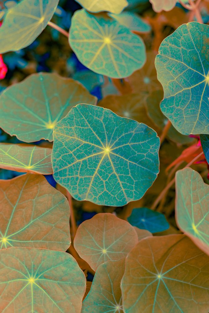 Photograph by Анастасия Хованская