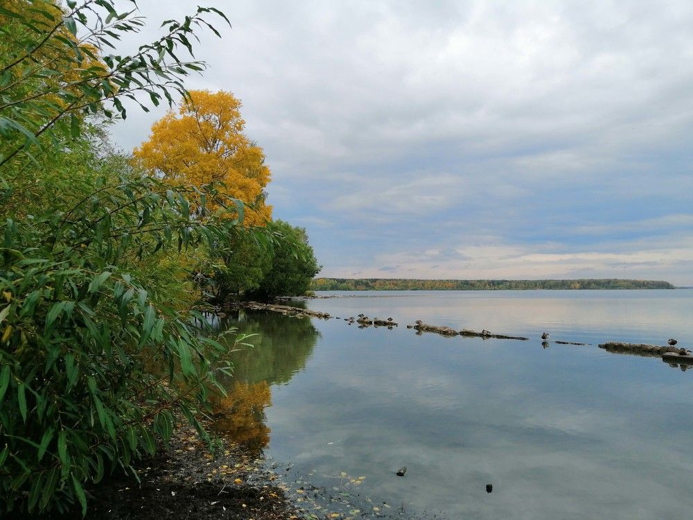 На берегу озера