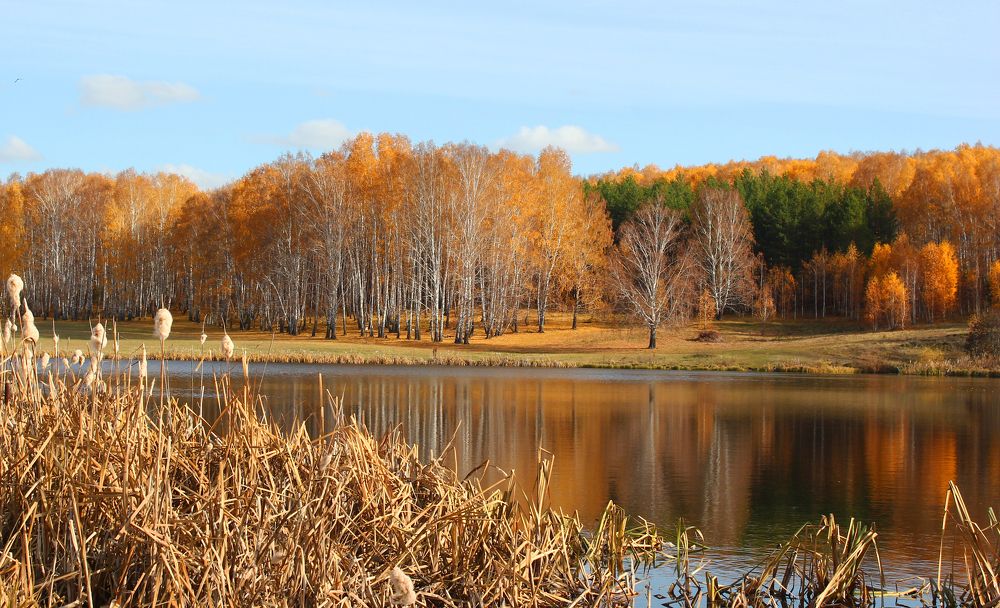 Осенний пруд