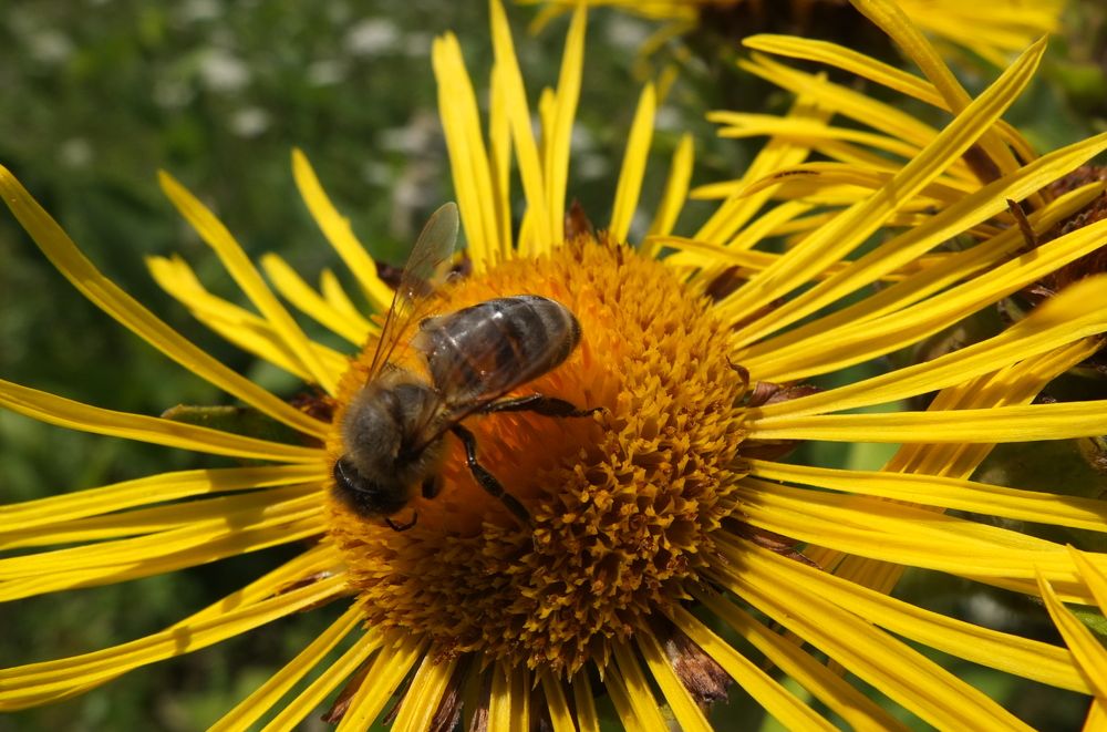 Photograph by Анна Матецкая