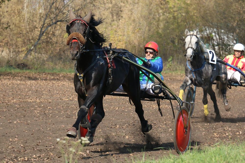 Закрытие сезона