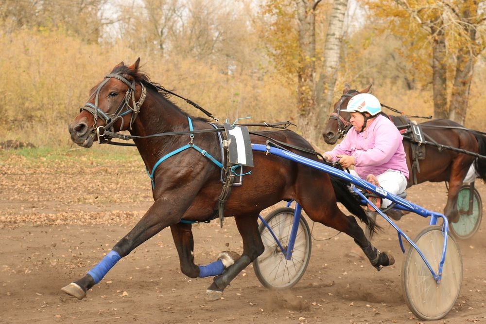 Закрытие сезона
