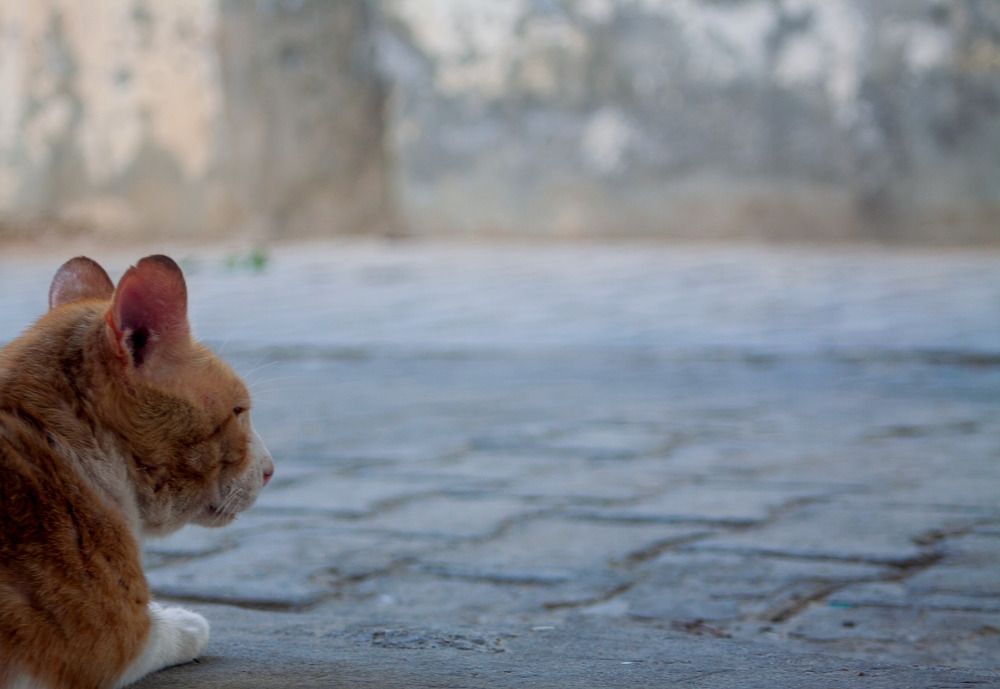 Photograph by chtoruou amine