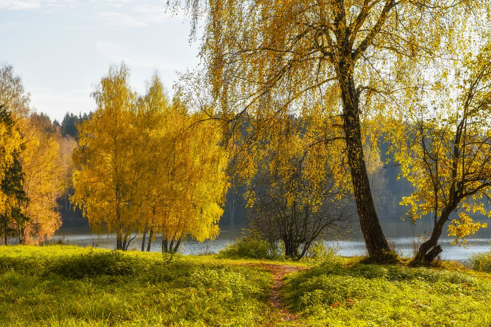 Photograph by Адиля Голубева