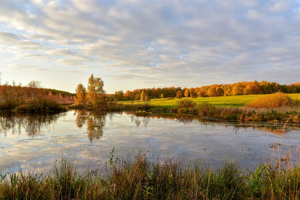 Photograph by Адиля Голубева