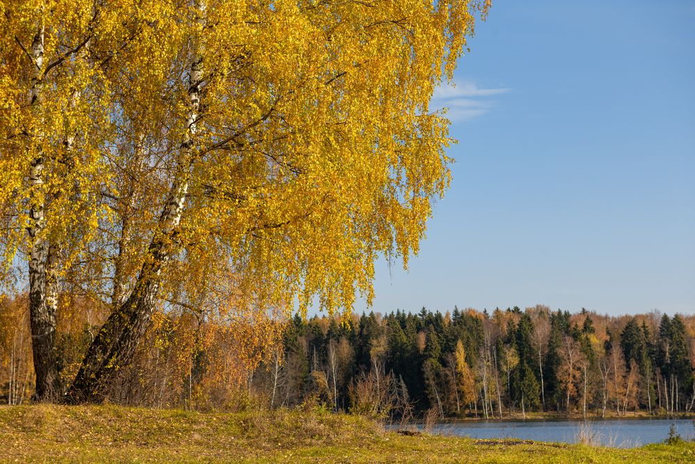 Photograph by Адиля Голубева