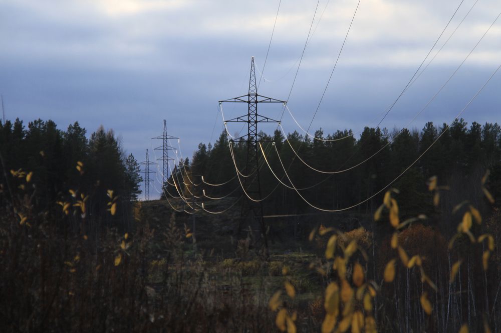 Фотография автора Анастасия Зверева