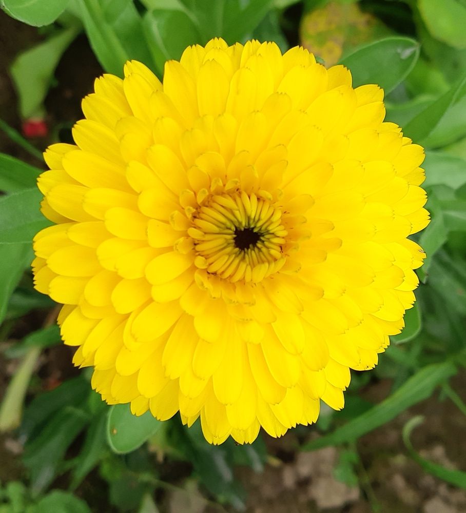 Фотография автора Ирина Лукьянчик