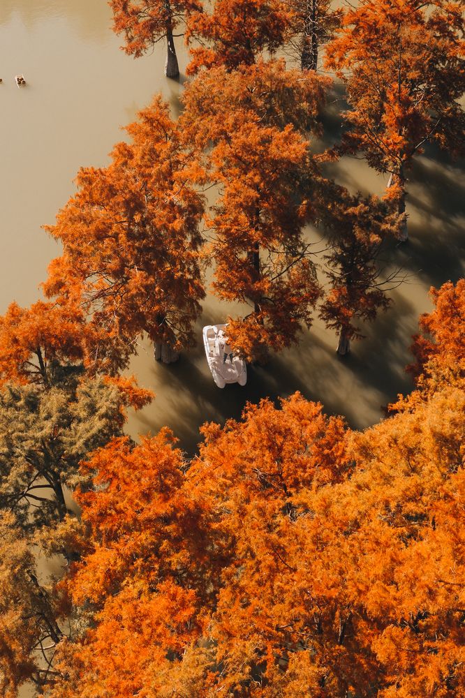 Photograph by Михаил Канивецкий