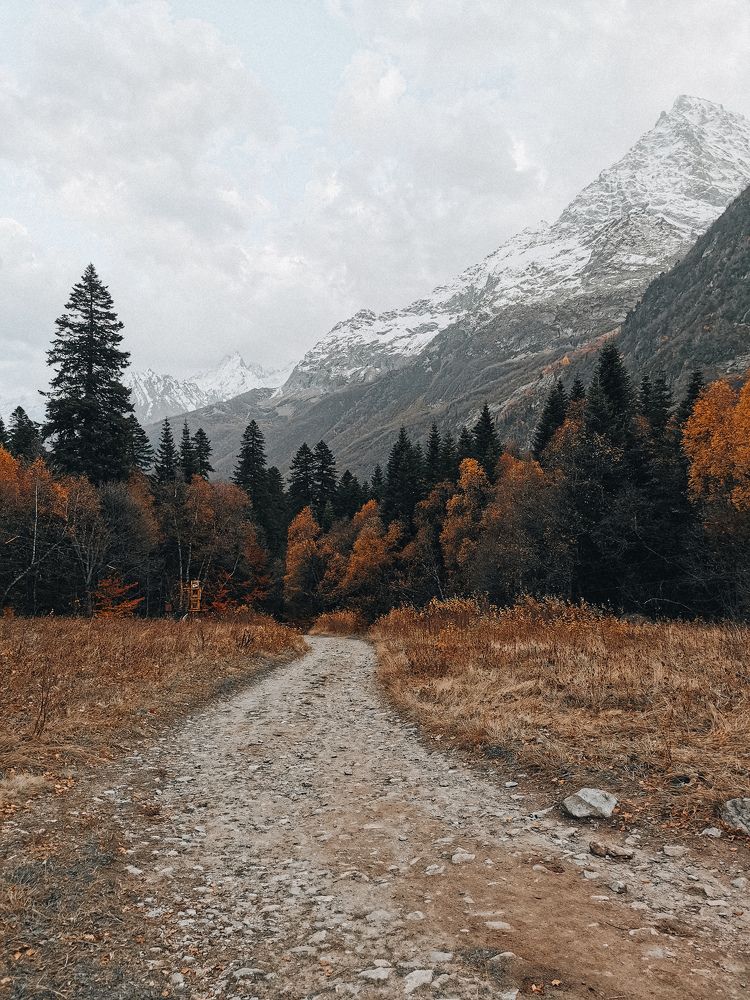 Photograph by Михаил Канивецкий