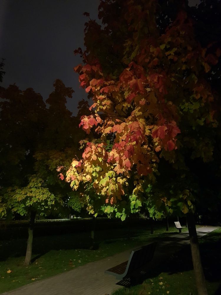 Photograph by Ольга Пумочка-13